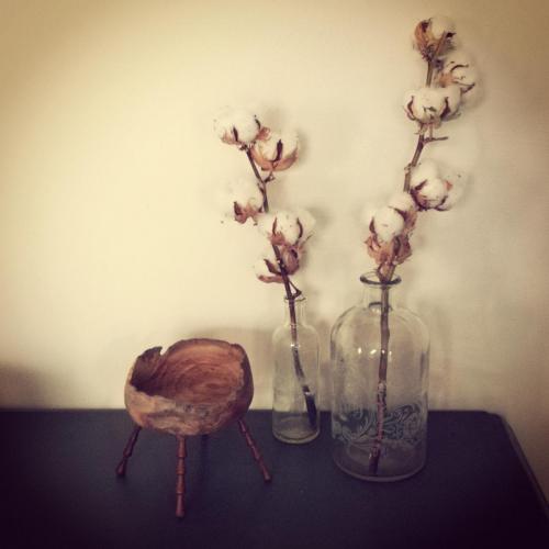 Collection déco